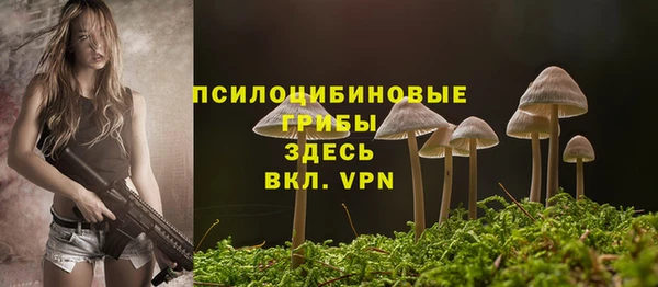 мескалин Балахна